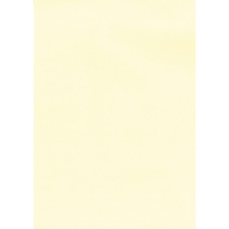 (12235) APLI PAPEL TEXTURA VERJURADO CREMA 220 GR. TAMAÑO A4 - 20 HOJAS -