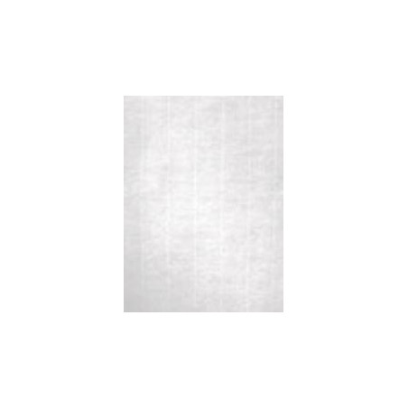 (12368) APLI PAPEL TEXTURA VERJURADO BLANCO 100 GR. TAMAÑO A4 - 100 HOJAS -