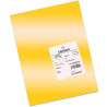 (C200005834) IRIS CARTULINA 297X420MM 185GR ORO -50U-