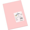 (C200040189) IRIS CARTULINA 297X420MM 185GR ROSA -50U-