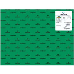 (C200040239) IRIS CARTULINA 50X65CM 185GR VERDE ABETO -25U-