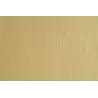 (F42450701) SADIPAL CARTULINA LR 220 TEXTURIZADA 50X70CM PANNA
