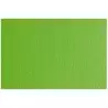 (F42450710) SADIPAL CARTULINA LR 200 TEXTURIZADA 50X70CM VERDE PISELLO