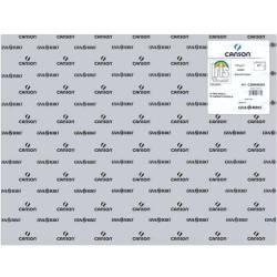 (C200040243) IRIS CARTULINA 50X65CM 185GR GRIS PERLA -25U-