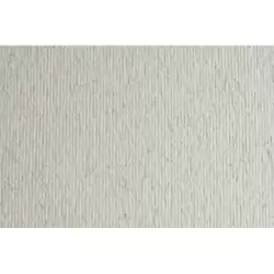 (F42450729) SADIPAL CARTULINA LR 220 TEXTURIZADA 50X70CM BRINA ESCARCHA