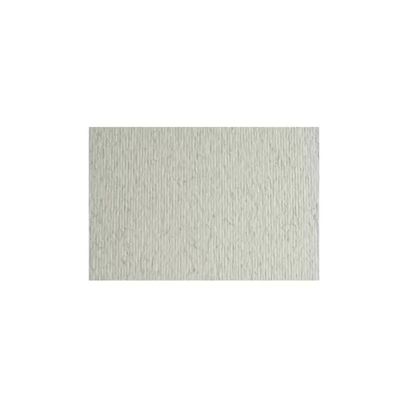 (F42450729) SADIPAL CARTULINA LR 220 TEXTURIZADA 50X70CM BRINA ESCARCHA