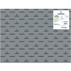(C200040244) IRIS CARTULINA 50X65CM 185GR GRIS PLOMO -25U-