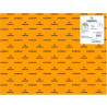 (C200403810) IRIS CARTULINA 50X65CM 250GR NARANJA FLUOR -25U-
