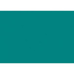 (C32127S017) IRIS CARTULINA 297X420MM 185GR VERDE MENTA -50U-