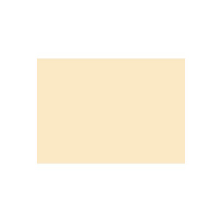 (C32127S013) IRIS CARTULINA 297X420MM 185GR CÁSCARA HUEVO -50U-