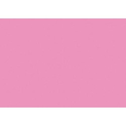 (C32127S015) IRIS CARTULINA 297X420MM 185GR ROSA CHICLE -50U-