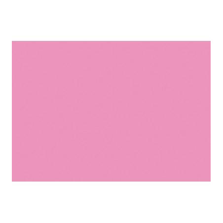 (C32127S015) IRIS CARTULINA 297X420MM 185GR ROSA CHICLE -50U-