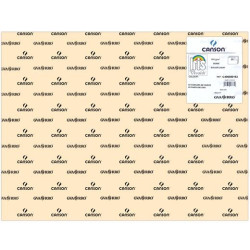 (C400080163) IRIS CARTULINA 50X65CM 185GR CÁSCARA DE HUEVO -25U-