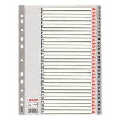 (100108) ESSELTE ÍNDICE NUMÉRICO MULTITALADRO 1-31 POLIPROPILENO A4 GRIS CON CARÁTULA ÍNDICE CARTÓN COLOR