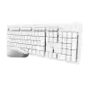 (25467) TRUST COMBO TECLADO + RATÓN INALÁMBRICO ODY II SILENCIOSO BLANCO