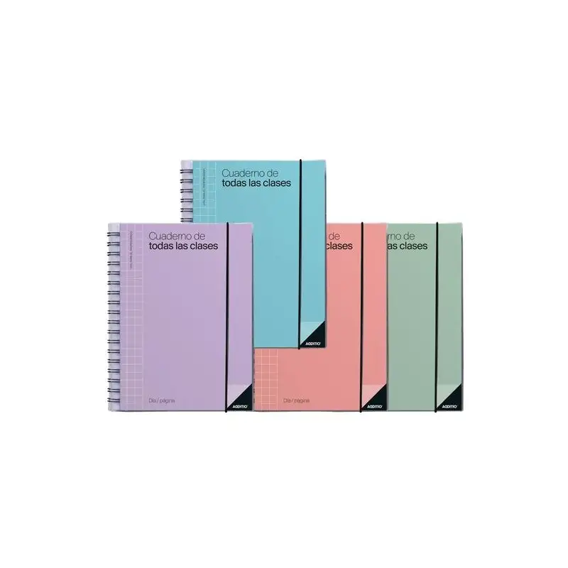 (P232) ADDITIO CUADERNO DE TODAS LAS CLASES PARA EL PROFESORADO D/P ESPIRAL DOBLE 256 PÁGINAS PVC C/SURTIDOS