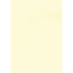 (12235) APLI PAPEL TEXTURA VERJURADO CREMA 220 GR. TAMAÑO A4 - 20 HOJAS -