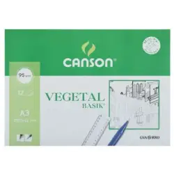 (C200400787) CANSON MINIPACK VEGETAL BASIK 12 HOJAS 29
