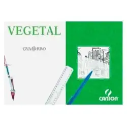 (C200406244) CANSON CAJA DE LÁMINAS VEGETAL BASIK 250 HOJAS 90GR 29