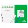 (C200406244) CANSON CAJA DE LÁMINAS VEGETAL BASIK 250 HOJAS 90GR 29