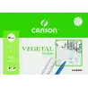 (C200407621) CANSON MINIPACK VEGETAL BASIK 12 HOJAS 21X29