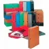 (6035C09) CARCHIVO CAJA ARCHIVO DEFINITIVO DESPLEGADO PP 100MM FOLIO AZUL