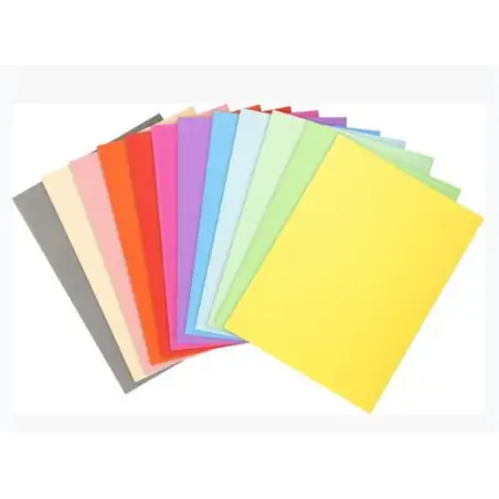 (410000E) EXACOMPTA SUBCARPETAS A4 FOREVER COLORES SURTIDOS 220GR -100U-