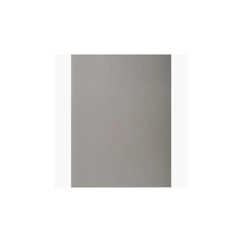 (410009E) EXACOMPTA SUBCARPETAS A4 FOREVER COLOR GRIS 220GR -100U-