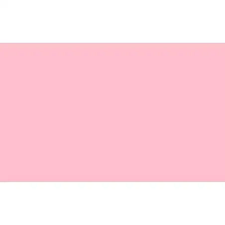 (A4EB20) FAMA GOMA EVA A4 GROSOR 2MM EB20 ROSA CAJA 10 UD