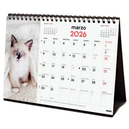 (780323826) FINOCAM CALENDARIO DE SOBREMESA PARA ESCRIBIR S-210X150MM MV IMÁGENES GATITOS 2026
