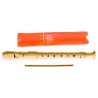 (9516) HOHNER FLAUTA PLASTICO FUNDA NARANJA