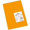 (C200040157) IRIS CARTULINA 210X297MM 185GR MANDARINA -50U-