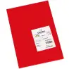 (C200040162) IRIS CARTULINA 210X297MM 185GR ROJO -50U-
