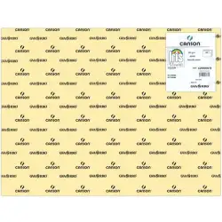 (C200040219) IRIS CARTULINA 50X65CM 185GR CREMA -25U-