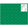 (C200040239) IRIS CARTULINA 50X65CM 185GR VERDE ABETO -25U-