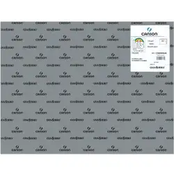 (C200040244) IRIS CARTULINA 50X65CM 185GR GRIS PLOMO -25U-