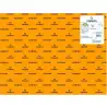 (C200403810) IRIS CARTULINA 50X65CM 250GR NARANJA FLUOR -25U-