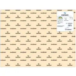 (C400080163) IRIS CARTULINA 50X65CM 185GR CÁSCARA DE HUEVO -25U-