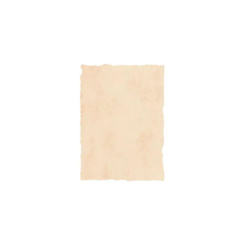 (2601229) MICHEL PERGAMINO TROQUELADO 200GR A4 PACK 25U BEIGE