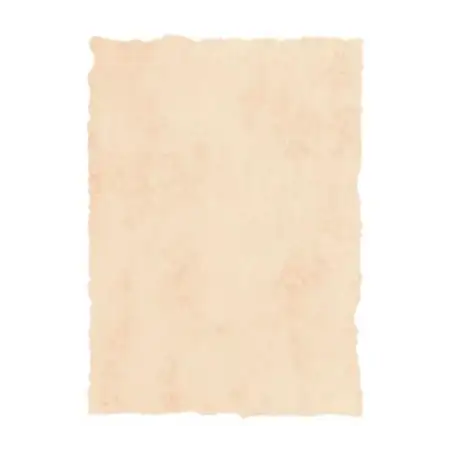 (2601229) MICHEL PERGAMINO TROQUELADO 200GR A4 PACK 25U BEIGE