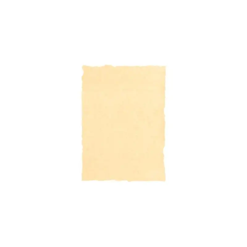 (2603229) MICHEL PERGAMINO TROQUELADO 160GR A4 PACK 25U CREMA