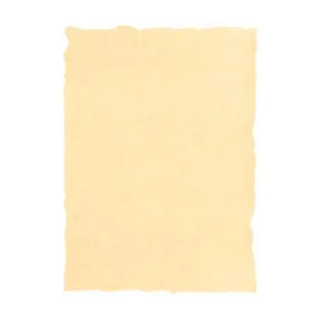 (2603229) MICHEL PERGAMINO TROQUELADO 160GR A4 PACK 25U CREMA