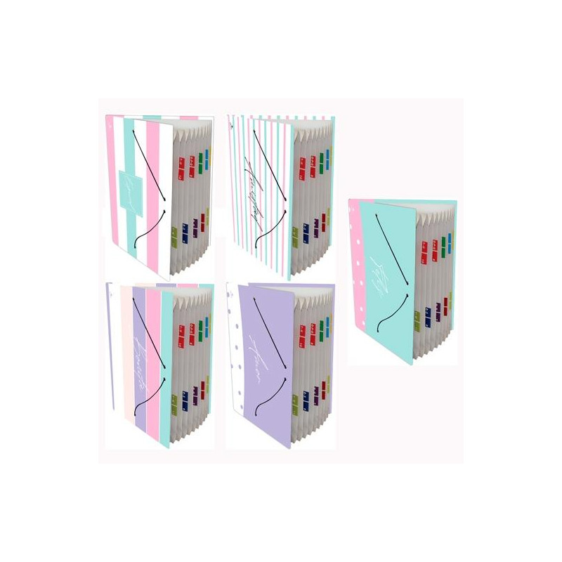 (0919FR-EX) MARIOLA CARPETA FUELLE ACORDEÓN 12 C/GOMA FOLIO CARTÓN FORRADO PLASTIFICADO DISEÑOS SURTIDOS