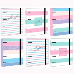 (2397FR-EX) MARIOLA CARPETA ANILLAS MIXTAS 4X40MM CARPEBLOCK C/RECAMBIO 100H C/GOMA CARTÓN FORRADO DISEÑOS SURTIDOS