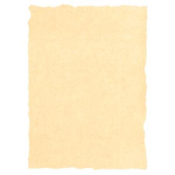 (2603229) MICHEL PERGAMINO TROQUELADO 160GR A4 PACK 25U CREMA