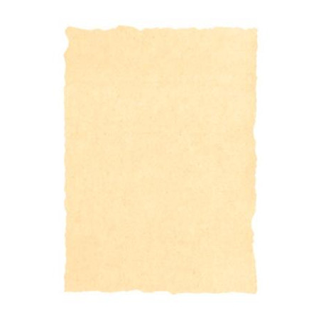 (2603229) MICHEL PERGAMINO TROQUELADO 160GR A4 PACK 25U CREMA