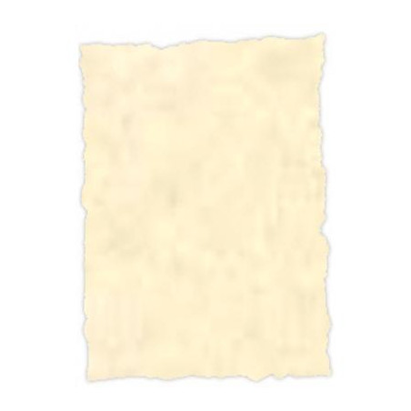 (2604229) MICHEL PERGAMINO TROQUELADO 150GR A4 PACK 25U TOPACIO