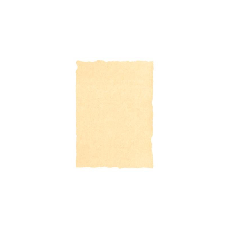 (2603229) MICHEL PERGAMINO TROQUELADO 160GR A4 PACK 25U CREMA