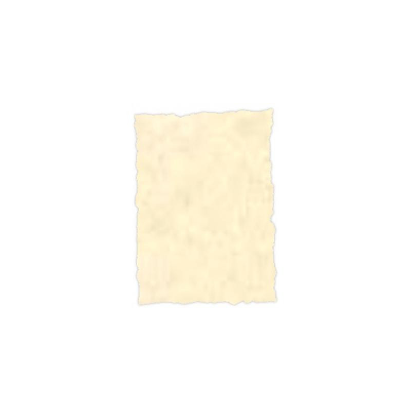 (2604229) MICHEL PERGAMINO TROQUELADO 150GR A4 PACK 25U TOPACIO