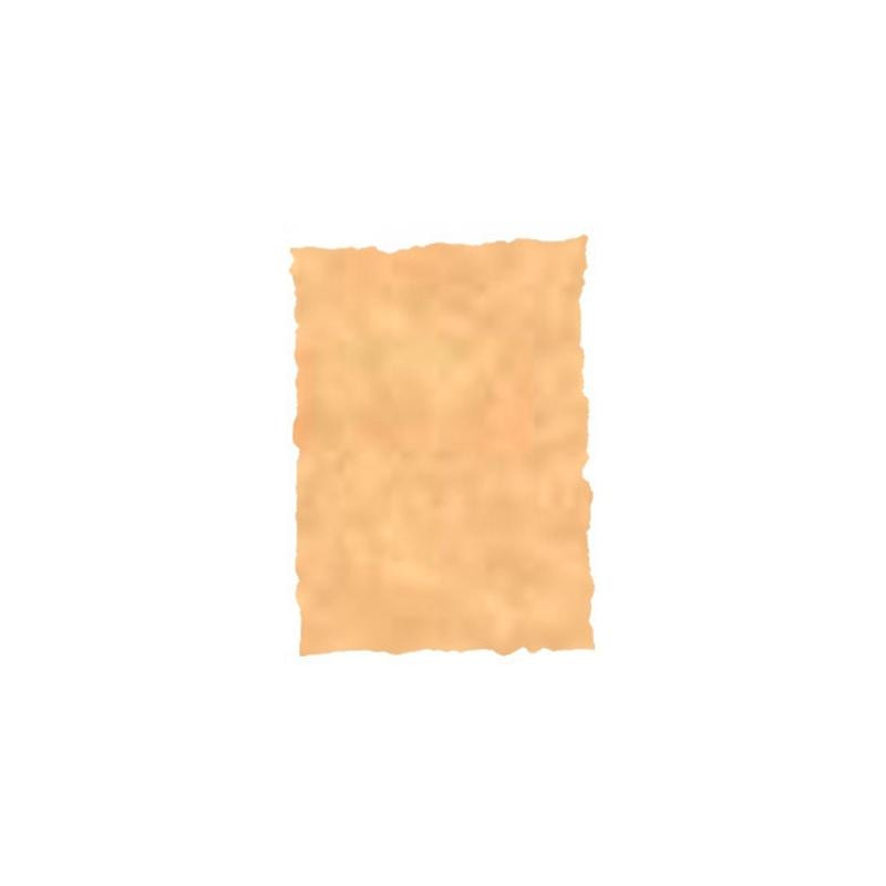 (2605229) MICHEL PERGAMINO TROQUELADO 150GR A4 PACK 25U OCRE